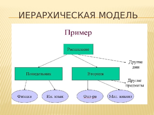 Что такое иерархическая модель организации данных объясните ее суть на примере каталога файловой