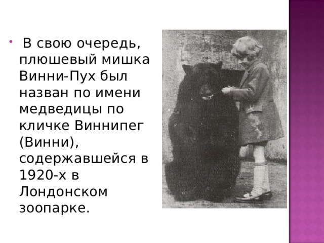  В свою очередь, плюшевый мишка Винни-Пух был назван по имени медведицы по кличке Виннипег (Винни), содержавшейся в 1920-х в Лондонском зоопарке.  