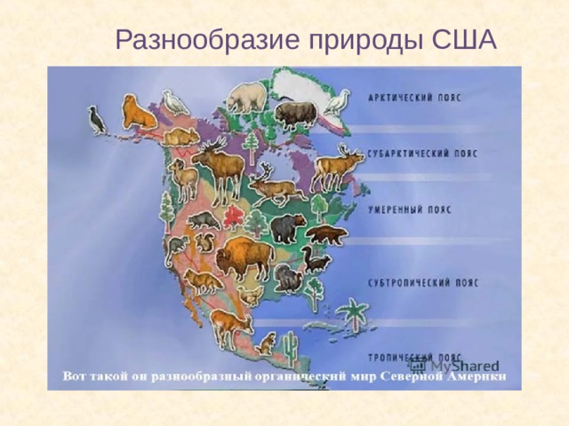 Разнообразие природы США 
