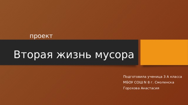 Проект вторая жизнь мусора