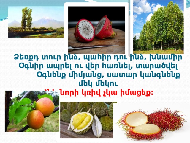Ձեռքդ տուր ինձ, պահիր դու ինձ, խնամիր Օգնիր ապրել ու վեր հառնել, տարածվել  Օգնենք միմյանց, սատար կանգնենք մեկ մեկու Հնի-նորի կռիվ չկա իմացեք: 