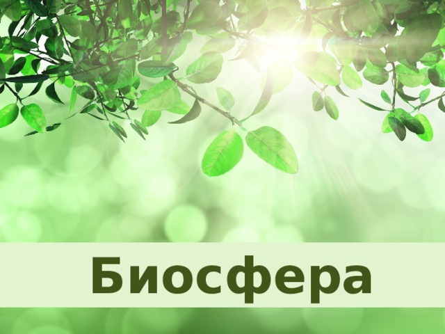Биосфера  
