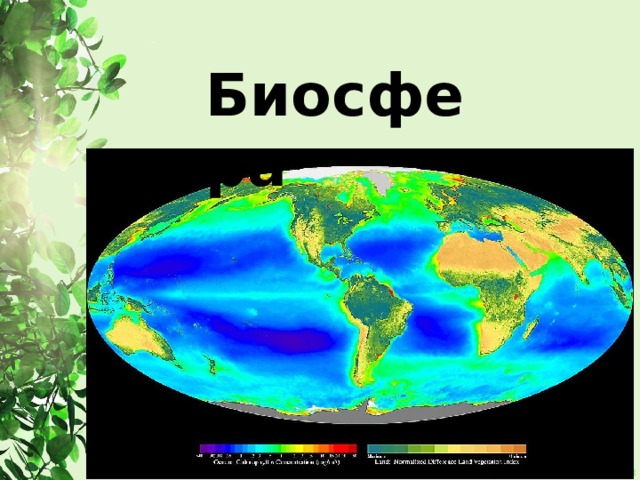 Биосфера 