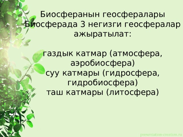 Биосферанын геосфералары Биосферада 3 негизги геосфералар ажыратылат: газдык катмар (атмосфера, аэробиосфера) суу катмары (гидросфера, гидробиосфера) таш катмары (литосфера) 