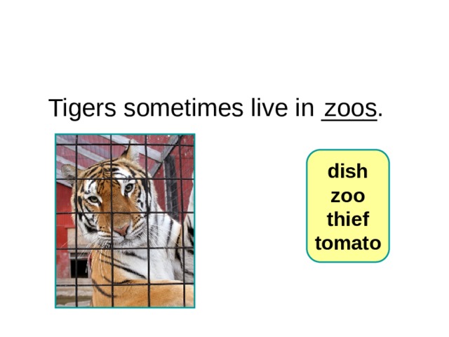 6-4 Let’s Practice Tigers sometimes live in ____. zoos  dish  zoo  thief  tomato 1 