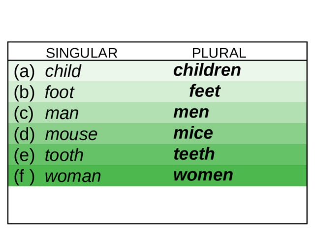 6-5 NOUNS: IRREGULAR PLURAL FORMS PLURAL SINGULAR   children   feet  men  mice  teeth  women  (a)  child (b) foot (c)  man (d)  mouse (e) tooth (f ) woman  1 