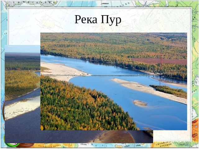 Крупнейшей рекой западной сибири является. Пур (река). Реки Западной Сибири. Реки Западно сибирской равнины. Река Пур Западная Сибирь.