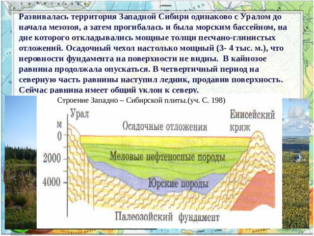 Развивалась территория Западной Сибири одинаково с Уралом до начала мезозоя, а затем прогибалась и была морским бассейном, на дне которого откладывались мощные толщи песчано-глинистых отложений. Осадочный чехол настолько мощный (3- 4 тыс. м.), что неровности фундамента на поверхности не видны. В кайнозое равнина продолжала опускаться. В четвертичный период на северную часть равнины наступил ледник, продавив поверхность. Сейчас равнина имеет общий уклон к северу.   Строение Западно – Сибирской плиты.(уч. С. 198) 