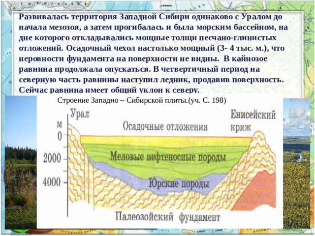 Плита с мощным осадочным чехлом в австралии. Осадочный чехол Западно сибирской равнины. Осадочный чехол Западно сибирской плиты. Геологическое строение Западно сибирской равнины. Толщи осадочного чехла.