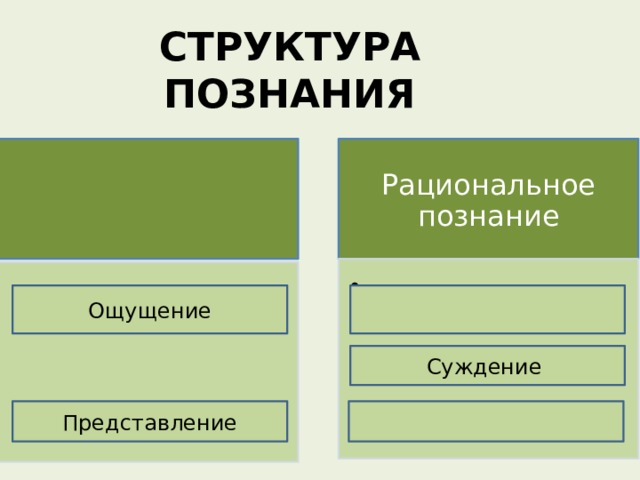 Ощущение представление суждение. Структура познания. Структура рационального познания. Структура рационального знания. Структура рационального познания в философии.