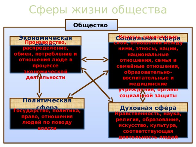 Семья этнос какая сфера общества