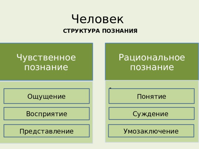 Запишите виды познания. Схема познание чувственное и рациональное. Чувственное познание схема. Структура чувственного познания. Структура рационального познания.