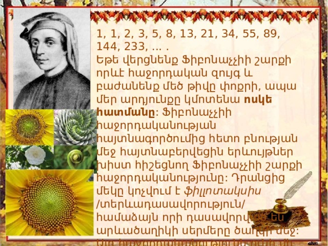1, 1, 2, 3, 5, 8, 13, 21, 34, 55, 89, 144, 233, ... . Եթե վերցնենք Ֆիբոնաչչիի շարքի որևէ հաջորդական զույգ և բաժանենք մեծ թիվը փոքրի, ապա մեր արդյունքը կմոտենա  ոսկե հատմանը : Ֆիբոնաչչիի հաջորդականության հայտնագործումից հետո բնության մեջ հայտնաբերվեցին երևույթներ խիստ հիշեցնող Ֆիբոնաչչիի շարքի հաջորդականությունը: Դրանցից մեկը կոչվում է  ֆիլլոտակսիս   /տերևադասավորություն/ համաձայն որի դասավորված են արևածաղիկի սերմերը ծաղկի մեջ: Այդ հաջորդականությունն ունի մի շարք հետաքրքիր մաթեմատիկական հատկանիշներ: 