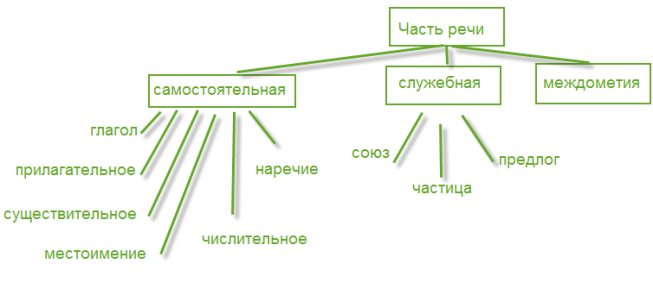 Части речи делятся на