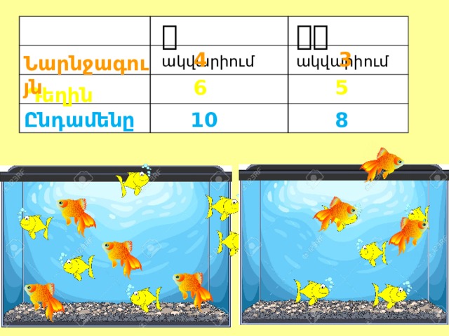    ակվարիում   ակվարիում   4 3 Նարնջագույն 6 5 Դեղին Ընդամենը 10 8 