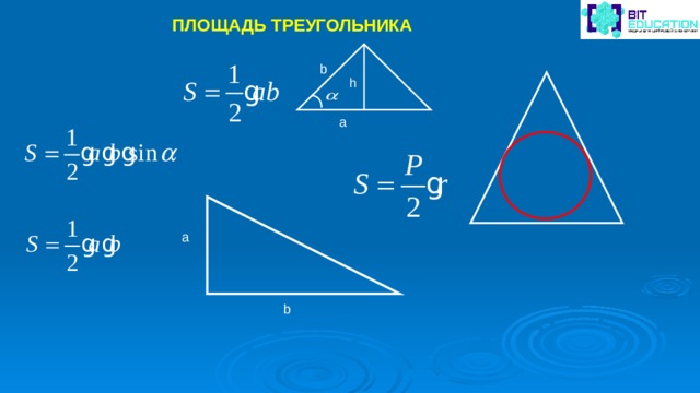 ПЛОЩАДЬ ТРЕУГОЛЬНИКА b h a a b 
