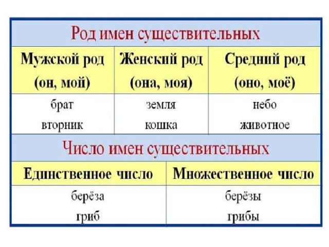 Презентация род имен существительных 5 класс разумовская