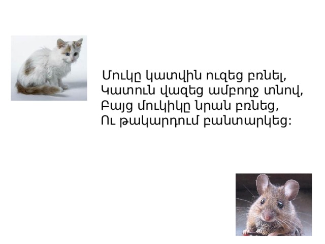  Մուկը կատվին ուզեց բռնել,  Կատուն վազեց ամբողջ տնով,  Բայց մուկիկը նրան բռնեց,  Ու թակարդում բանտարկեց: 