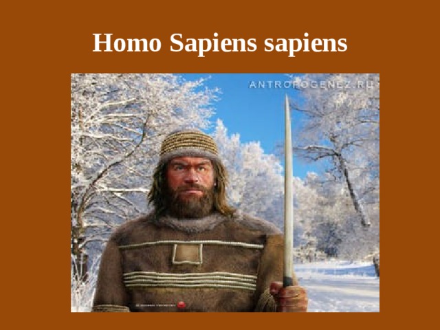 Homo Sapiens sapiens 