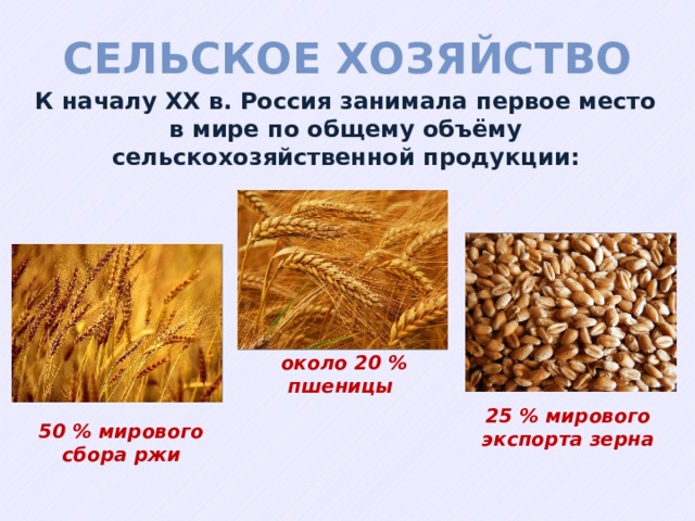Крупнейшим производителем пшеницы является