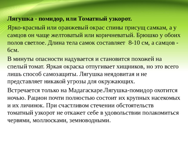 Смелость это. Смелость и трусость. Произведения о мужестве. Храбрость присущая и женскому полу. Определение слова мужество.