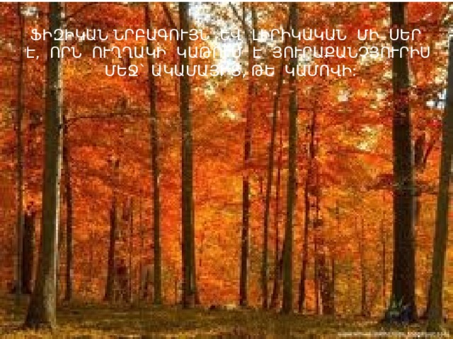 ՖԻԶԻԿԱՆ ՆՐԲԱԳՈՒՅՆ ԵՎ ԼԻՐԻԿԱԿԱՆ ՄԻ ՍԵՐ Է, ՈՐՆ ՈՒՂՂԱԿԻ ԿԱԹՈՒՄ Է ՅՈՒՐԱՔԱՆՉՅՈՒՐԻՍ ՄԵՋ` ԱԿԱՄԱՅԻՑ, ԹԵ ԿԱՄՈՎԻ: 