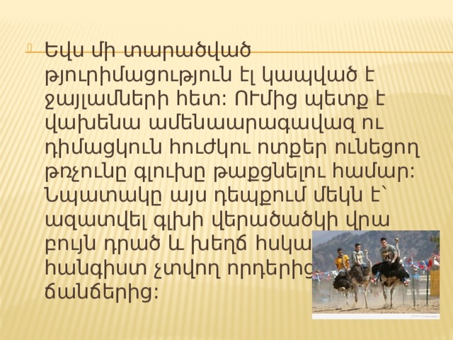 Եվս մի տարածված թյուրիմացություն էլ կապված է ջայլամների հետ: ՈՒմից պետք է վախենա ամենաարագավազ ու դիմացկուն հուժկու ոտքեր ունեցող թռչունը գլուխը թաքցնելու համար: Նպատակը այս դեպքում մեկն է` ազատվել գլխի վերածածկի վրա բույն դրած և խեղճ հսկային հանգիստ չտվող որդերից, լվերից, ճանճերից: 