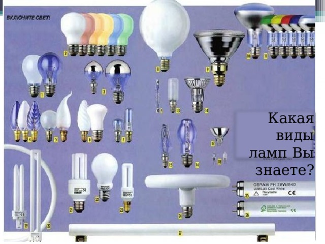 Какая виды ламп Вы знаете? 