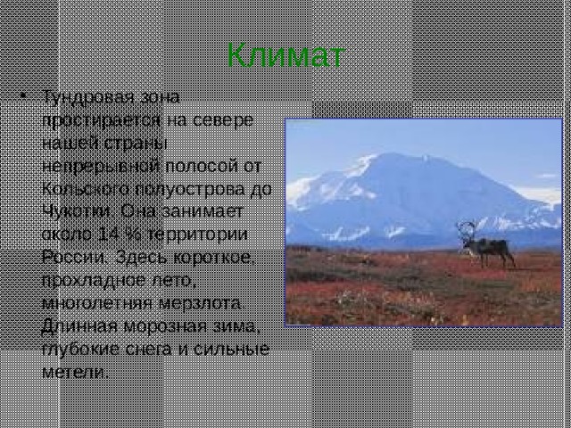 Природная зона от скандинавского полуострова до чукотки. Природные зоны Чукотки. Чукотский полуостров климат. Природные зоны Чукотского полуострова. Полуостров Чукотка климат.