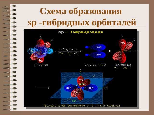 Схема образования  sp -гибридных орбиталей 