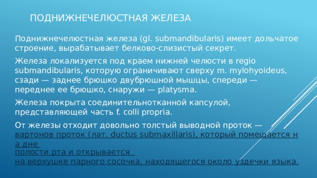 Поднижнечелюстная железа Поднижнечелюстная железа (gl. submandibularis) имеет дольчатое строение, вырабатывает белково-слизистый секрет. Железа локализуется под краем нижней челюсти в regio submandibularis, которую ограничивают сверху m. mylohyoideus, сзади — заднее брюшко двубрюшной мышцы, спереди — переднее ее брюшко, снаружи — platysma. Железа покрыта соединительнотканной капсулой, представляющей часть f. colli propria. От железы отходит довольно толстый выводной проток — вартонов проток (лат. ductus submaxillaris), который помещается на дне полости рта и открывается  на верхушке парного сосочка, находящегося около уздечки языка. Общее строение железы и ее протоков подобно околоушной железе.  