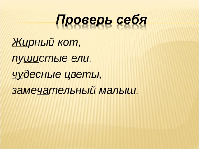 Жи рный кот, пу ши стые ели, чу десные цветы, заме ча тельный малыш. 