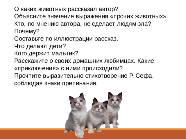 О каких животных рассказал автор?  Объясните значение выражения «прочих животных».  Кто, по мнению автора, не сделает людям зла? Почему?  Составьте по иллюстрации рассказ.  Что делают дети?  Кого держит мальчик?  Расскажите о своих домашних любимцах. Какие «приключения» с ними происходили?  Прочтите выразительно стихотворение Р. Сефа, соблюдая знаки препинания. 