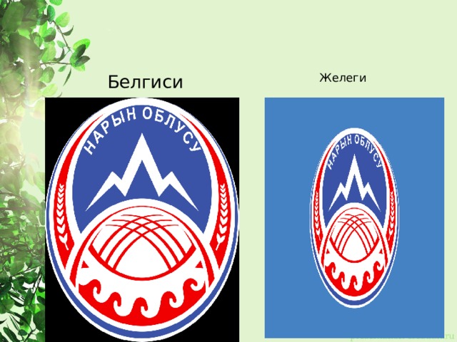 Белгиси Желеги 