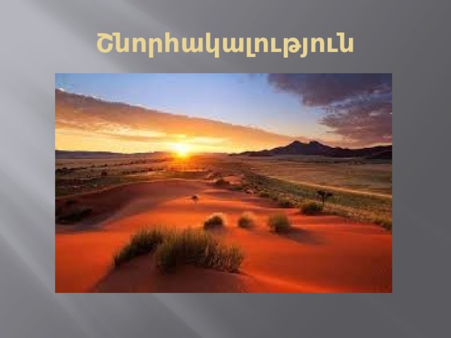 Շնորհակալություն 