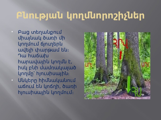 Բնության կողմնորոշիչներ Բաց տեղանքում միայնակ ծառի մի կողմում ճյուղերն ավելի փարթամ են։ Դա հաճախ հարավային կողմն է, իսկ բնի մամռակալած կողմը՝ հյուսիսային։ Սնկերը հիմնականում աճում են կոճղի, ծառի հյուսիսային կողմում։ 