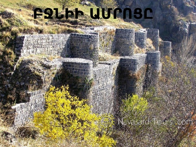 ԲՋՆԻԻ ԱՄՐՈՑԸ 
