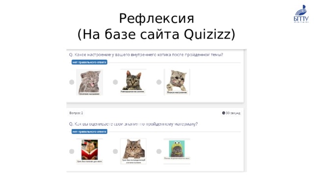 Рефлексия  (На базе сайта Quizizz) 