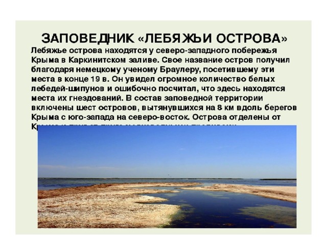 Лебяжьи острова в крыму где находится