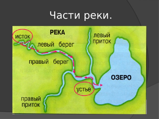 Подпишите на схеме части реки