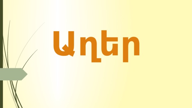 Աղեր 