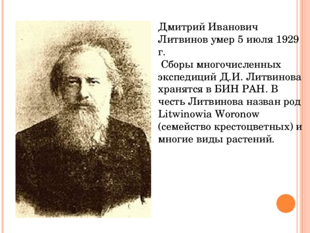 Дмитрий Иванович Литвинов умер 5 июля 1929 г.  Сборы многочисленных экспедиций Д.И. Литвинова хранятся в БИН РАН. В честь Литвинова назван род Litwinowia Woronow (семейство крестоцветных) и многие виды растений. 