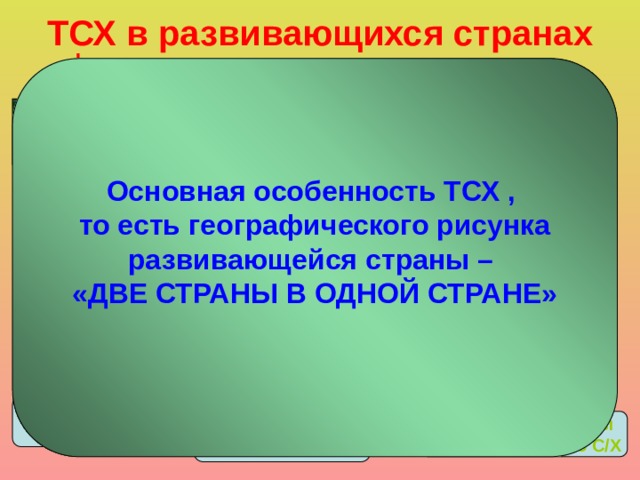 ТСХ в развивающихся странах Основная особенность ТСХ , то есть географического рисунка развивающейся страны – «ДВЕ СТРАНЫ В ОДНОЙ СТРАНЕ»  Характерно: низкий уровень зрелости очаговое использование территории Колониальный тип территориальной структуры хозяйства Главный центр – ФОКУС территории – столица развивающейся страны Вспомогательные центры – районы экспортной специализации периферия Горнодобывающая промышленность Плантационное С/Х Внутренние районы потребительского С/Х 