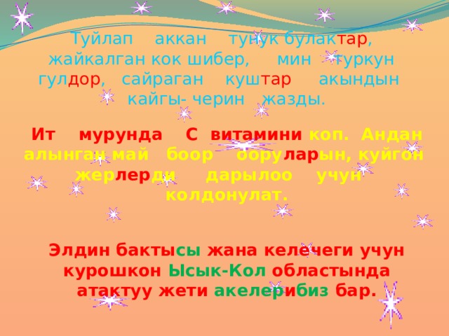 Туйлап аккан тунук булак тар , жайкалган кок шибер, мин туркун гул дор , сайраган куш тар акындын кайгы- черин жазды.     Ит мурунда С витамини коп. Андан алынган май боор оору лар ын, куйгон жер лер ди дарылоо учун колдонулат.        Элдин бакты сы жана келечеги учун курошкон Ысык-Кол областында атактуу жети акелер и биз бар.   