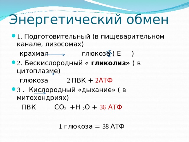 Энергетический обмен 1. Подготовительный (в пищеварительном канале, лизосомах)  крахмал глюкоза ( Е ) 2 . Бескислородный « гликолиз» ( в цитоплазме)  глюкоза 2 ПВК + 2 АТФ 3 . Кислородный «дыхание» ( в митохондриях)  ПВК СО 2 +Н 2 О + 36 АТФ  1 глюкоза = 38 АТФ 