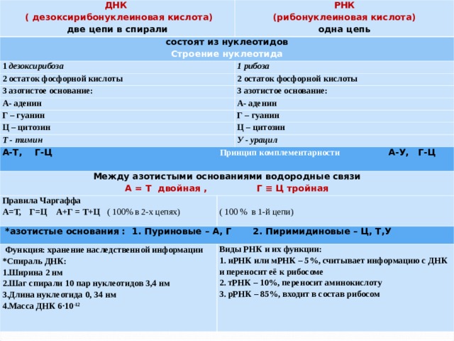 ДНК  ( дезоксирибонуклеиновая кислота) две цепи в спирали состоят из нуклеотидов РНК (рибонуклеиновая кислота) Строение нуклеотида 1 дезоксирибоза 2 остаток фосфорной кислоты одна цепь 1 рибоза 3 азотистое основание: 2 остаток фосфорной кислоты А- аденин 3 азотистое основание: Г – гуанин Ц – цитозин А- аденин Т - тимин Г – гуанин А-Т, Г-Ц Принцип комплементарности А-У, Г-Ц  Ц – цитозин Между азотистыми основаниями водородные связи У - урацил Правила Чаргаффа А = Т двойная , Г ≡ Ц тройная   *азотистые основания : 1. Пуриновые – А, Г 2. Пиримидиновые – Ц, Т,У А=Т, Г=Ц А+Г = Т+Ц ( 100% в 2-х цепях)   ( 100 % в 1-й цепи)  Функция: хранение наследственной информации *Спираль ДНК: Виды РНК и их функции: 1. иРНК или мРНК – 5%, считывает информацию с ДНК и переносит её к рибосоме 2. тРНК – 10%, переносит аминокислоту 3. рРНК – 85%, входит в состав рибосом Ширина 2 нм Шаг спирали 10 пар нуклеотидов 3,4 нм Длина нуклеотида 0, 34 нм Масса ДНК 6·10 -12 