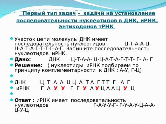  Первый тип задач  - задачи на установление последовательности нуклеотидов в ДНК, иРНК, антикодонов тРНК Участок цепи молекулы ДНК имеет последовательность нуклеотидов: Ц-Т-А-А-Ц-Ц-А-Т-А-Г-Т-Т-Г-А-Г. Запишите последовательность нуклеотидов иРНК. Дано: ДНК Ц-Т-А-А- Ц-Ц-А-Т-А-Г-Т-Т- Г- А- Г Решение: ( нуклеотиды иРНК подбираем по принципу комплементарности к ДНК : А-У, Г-Ц)   ДНК Ц Т А А Ц Ц А Т А Г Т Т Г А Г   иРНК Г А У У Г Г У  А У  Ц А А Ц У  Ц   Ответ : иРНК имеет последовательность нуклеотидов Г-А-У-У-Г- Г-У-А-У-Ц-А-А-Ц-У-Ц  