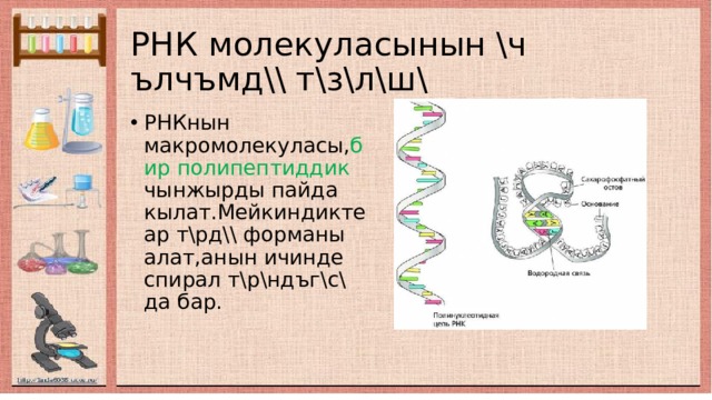 РНК молекуласынын \ч ълчъмд\\ т\з\л\ш\ РНКнын макромолекуласы, бир  полипептиддик чынжырды пайда кылат.Мейкиндикте ар т\рд\\ форманы алат,анын ичинде спирал т\р\ндъг\с\ да бар. 