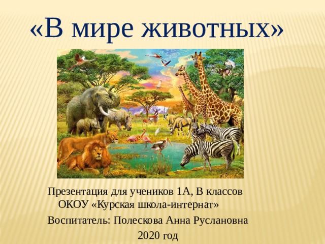 «В мире животных» Презентация для учеников 1А, В классов ОКОУ «Курская школа-интернат» Воспитатель: Полескова Анна Руслановна 2020 год 