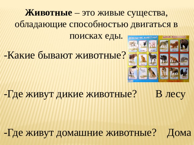 Животные – это живые существа, обладающие способностью двигаться в поисках еды. -Какие бывают животные? -Где живут дикие животные? В лесу -Где живут домашние животные? Дома 